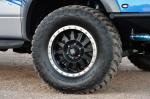 Shelby Raptor 2013 года